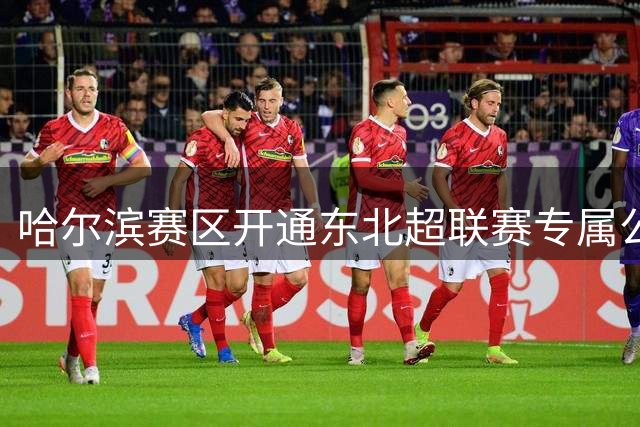 哈尔滨赛区开通东北超联赛专属公交 四条线路免费接送球迷
