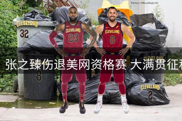 张之臻伤退美网资格赛 大满贯征程颗粒无收