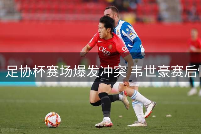 足协杯赛场爆发冲突 韦世豪赛后情绪失控险酿肢体冲突